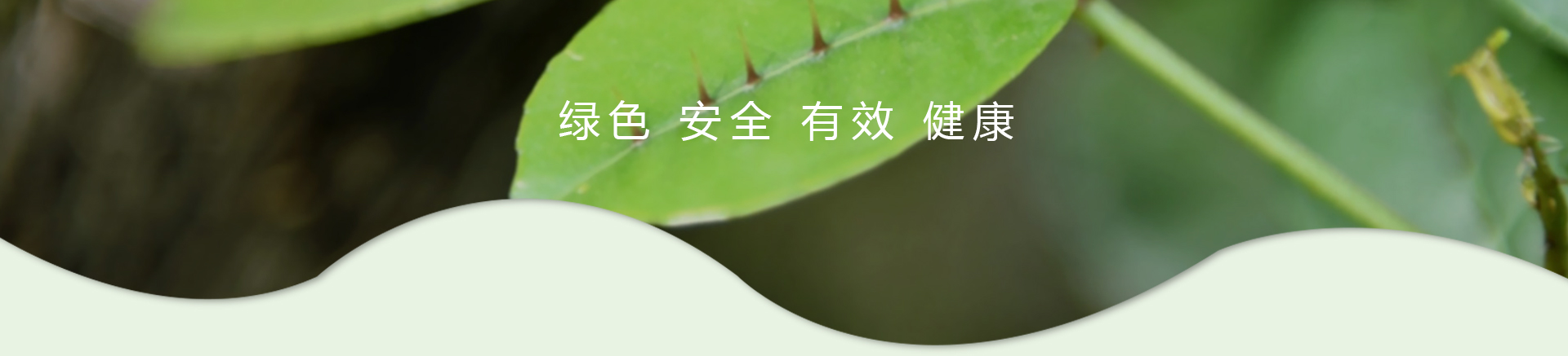 ��ҳ|7790�ط������й��ٷ���վ