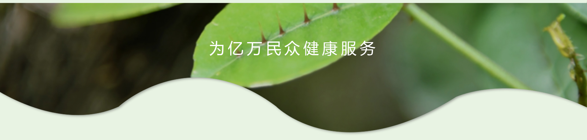��ҳ|7790�ط������й��ٷ���վ