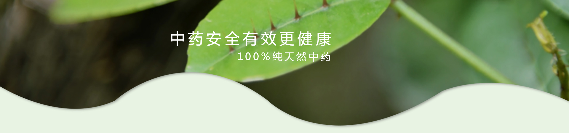 ��ҳ|7790�ط������й��ٷ���վ
