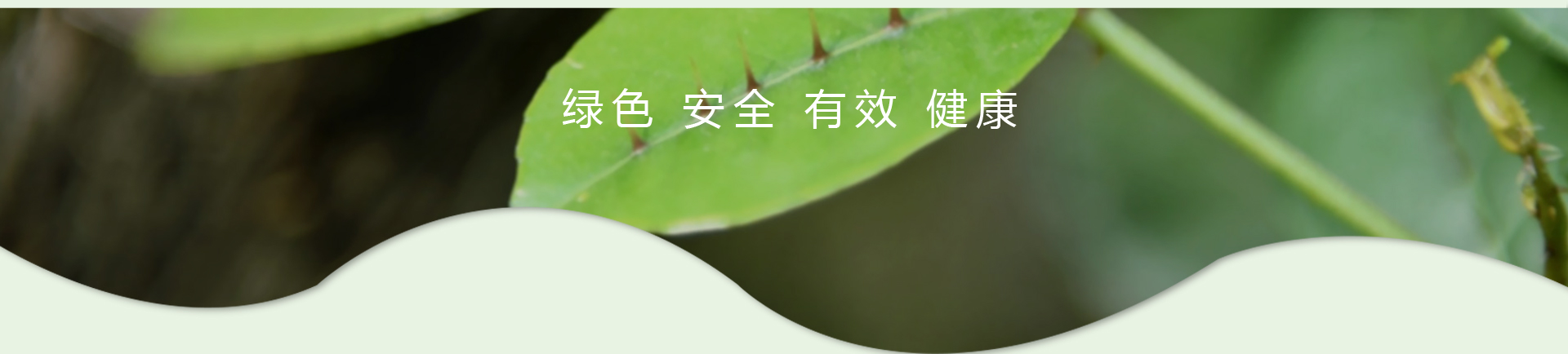 ��ҳ|7790�ط������й��ٷ���վ